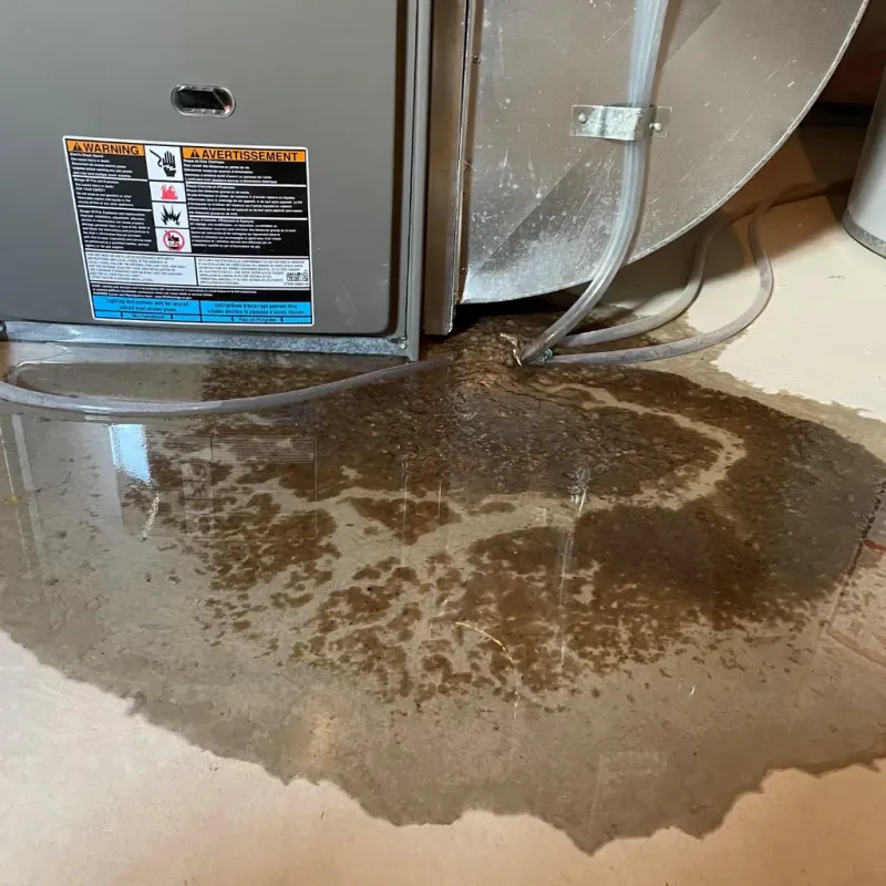 Appliance Leak Cleanup in Belhaven, NC